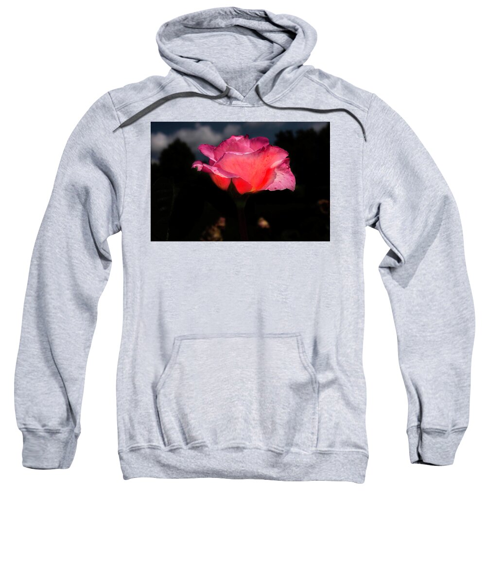 Rose Sweatshirt featuring the photograph The rose 2 by Wolfgang Stocker