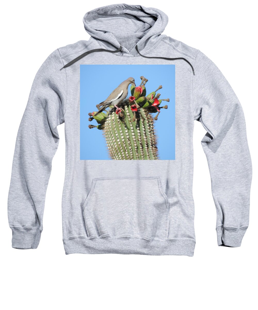  He Saguaro Cafe Is Open Sweatshirt featuring the photograph The Saguaro Cafe is Open by Bill Tomsa