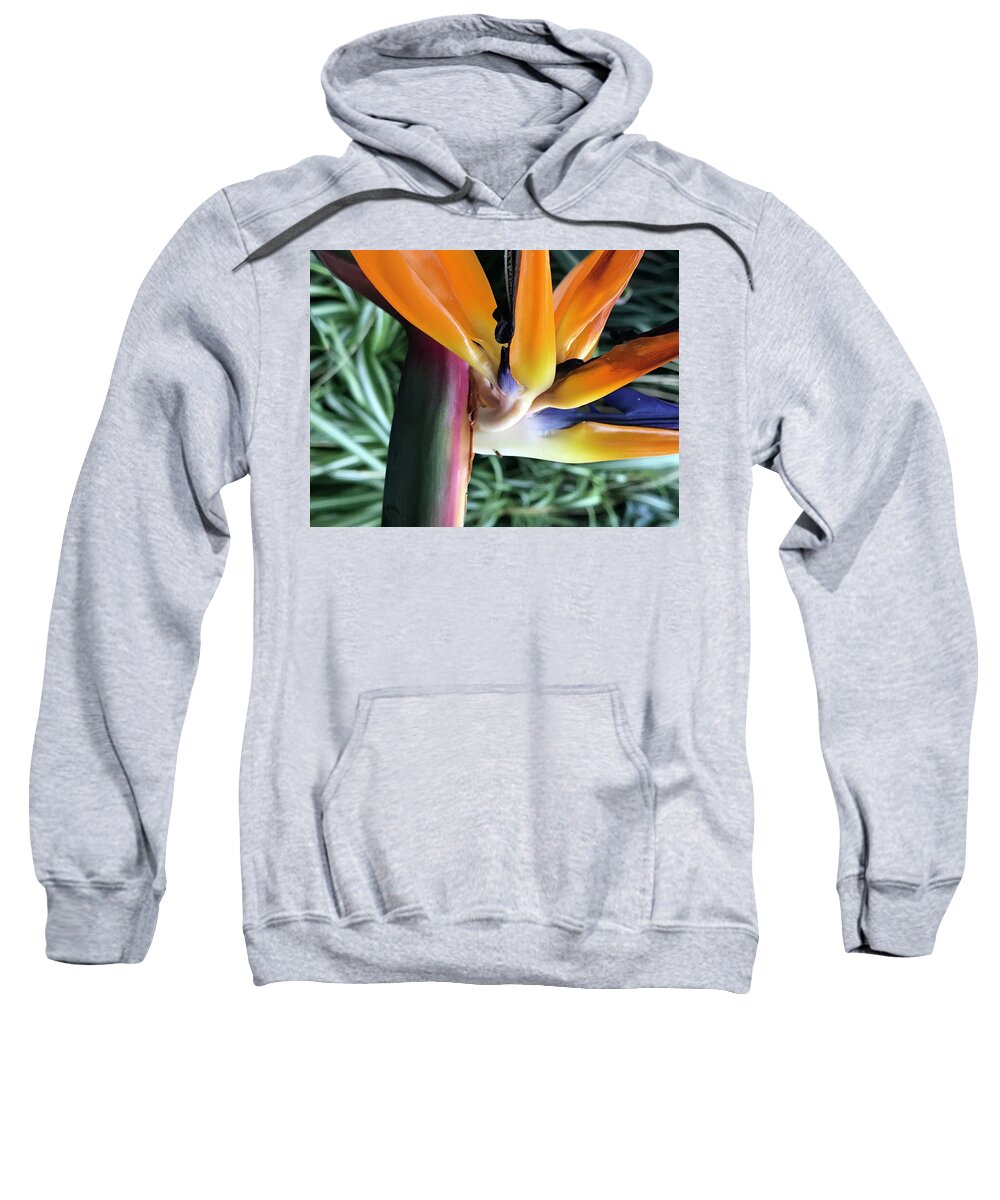 Flowers Sweatshirt featuring the photograph The Stalk by Jean Wolfrum