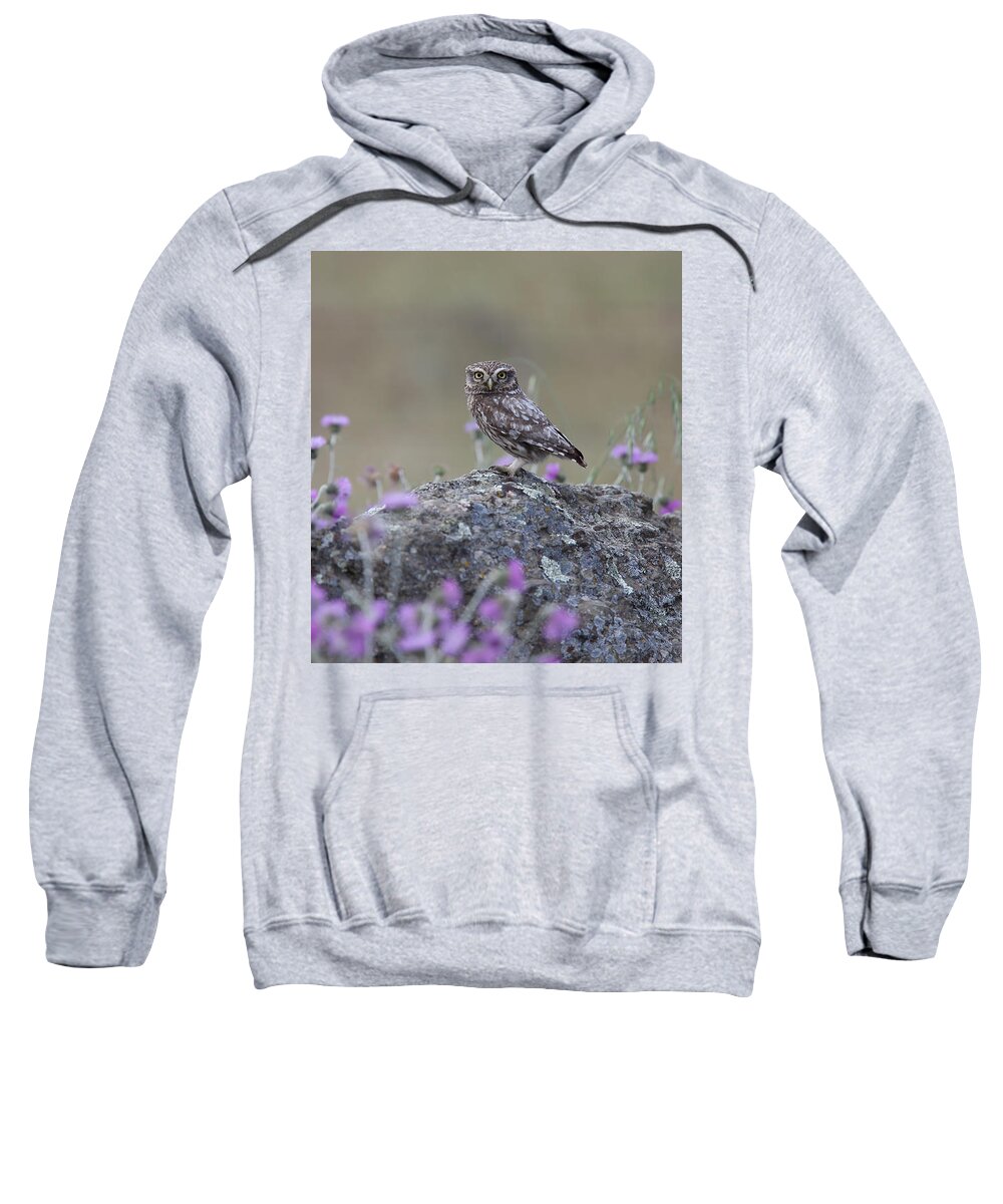 Little Owl Sweatshirt featuring the photograph The watcher watched by Tony Mills