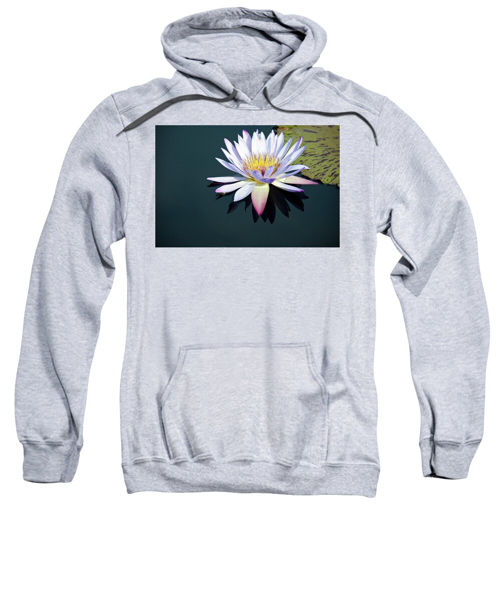 Water Lily Sweatshirt featuring the photograph The Water Lily by David Sutton