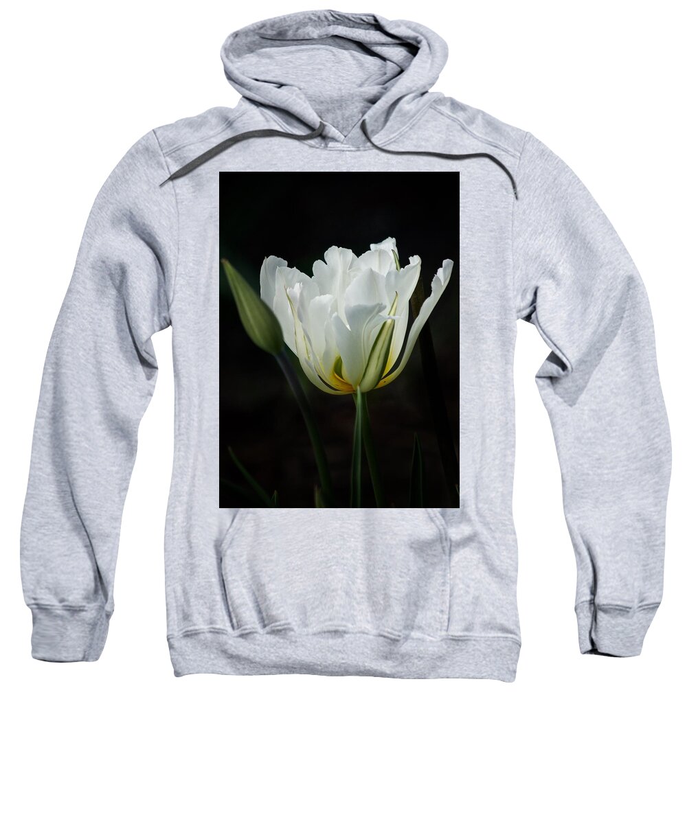 Tulip Sweatshirt featuring the photograph The White Tulip by Richard Cummings