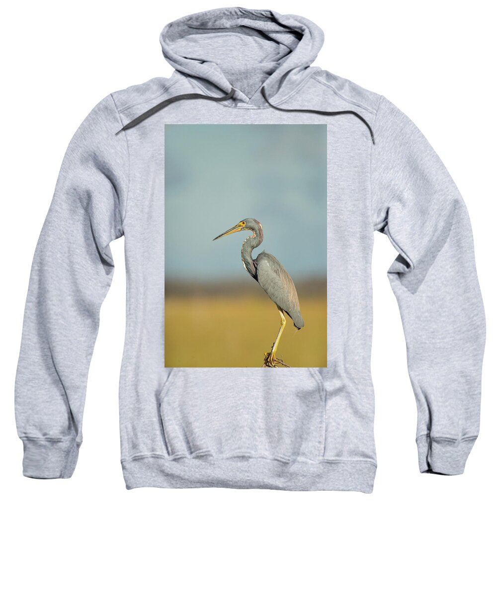 Everglades National Park Sweatshirt featuring the photograph There Could Be A Yawn Coming by Frank Madia