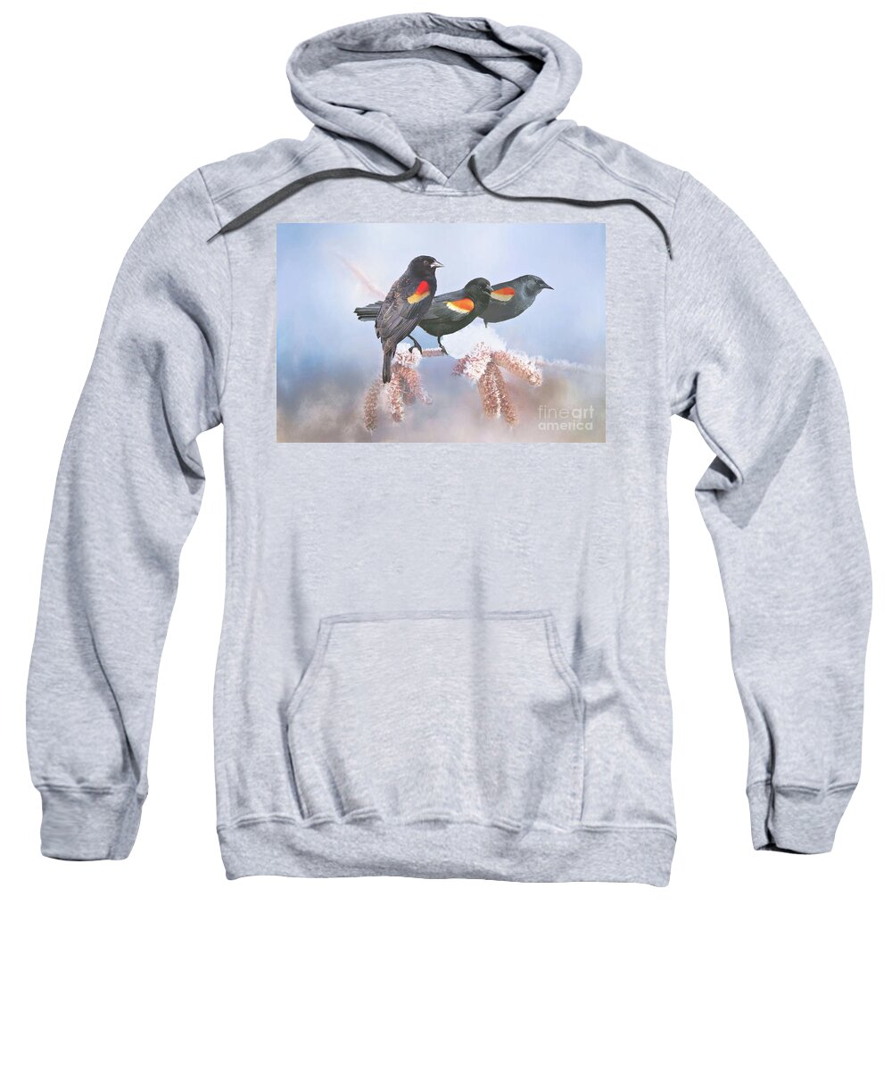 Blackbirds Sweatshirt featuring the photograph Three Red-Winged Blackbirds in a Row by Janette Boyd