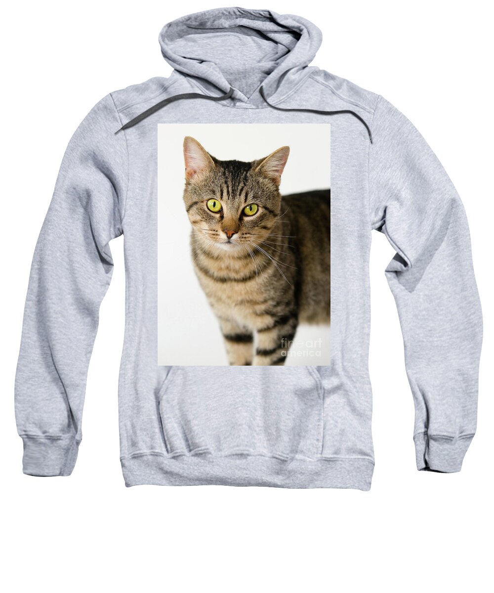 Cat Sweatshirt featuring the photograph Toby by Dean Birinyi