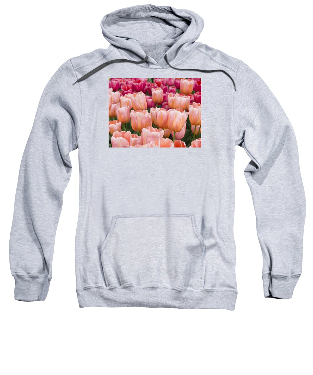 Beauty Sweatshirt featuring the photograph Together Again by Eggers Photography