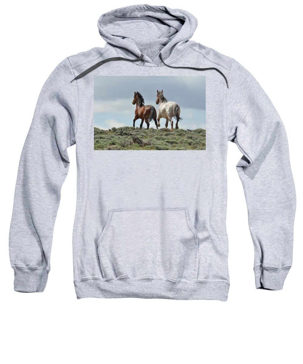 Wild Horses Sweatshirt featuring the photograph Too Beautiful by Frank Madia