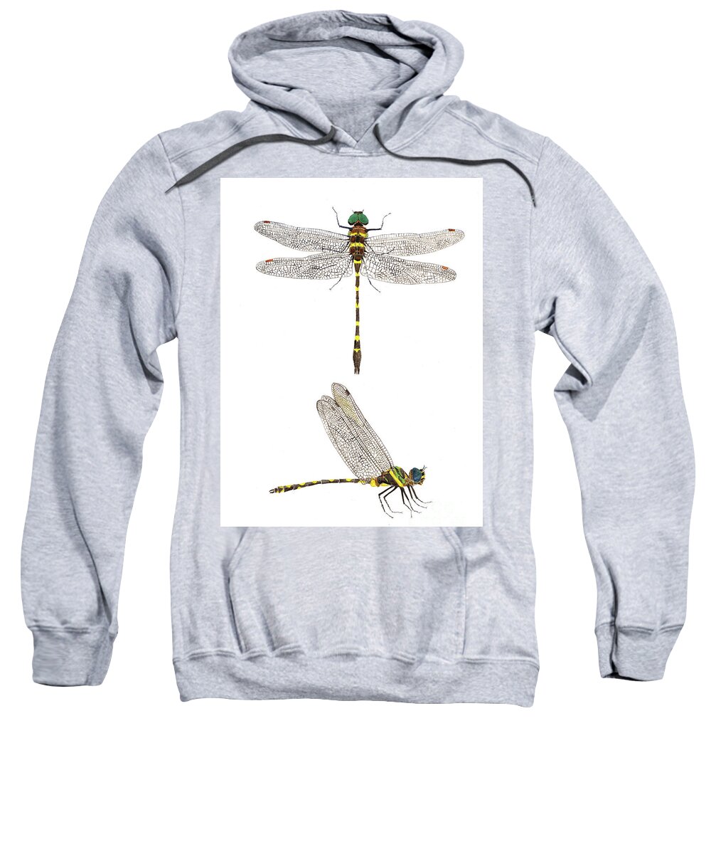 Dragonfly Sweatshirt featuring the painting Top and Side Views of a Male Georgia River Cruiser by Thom Glace