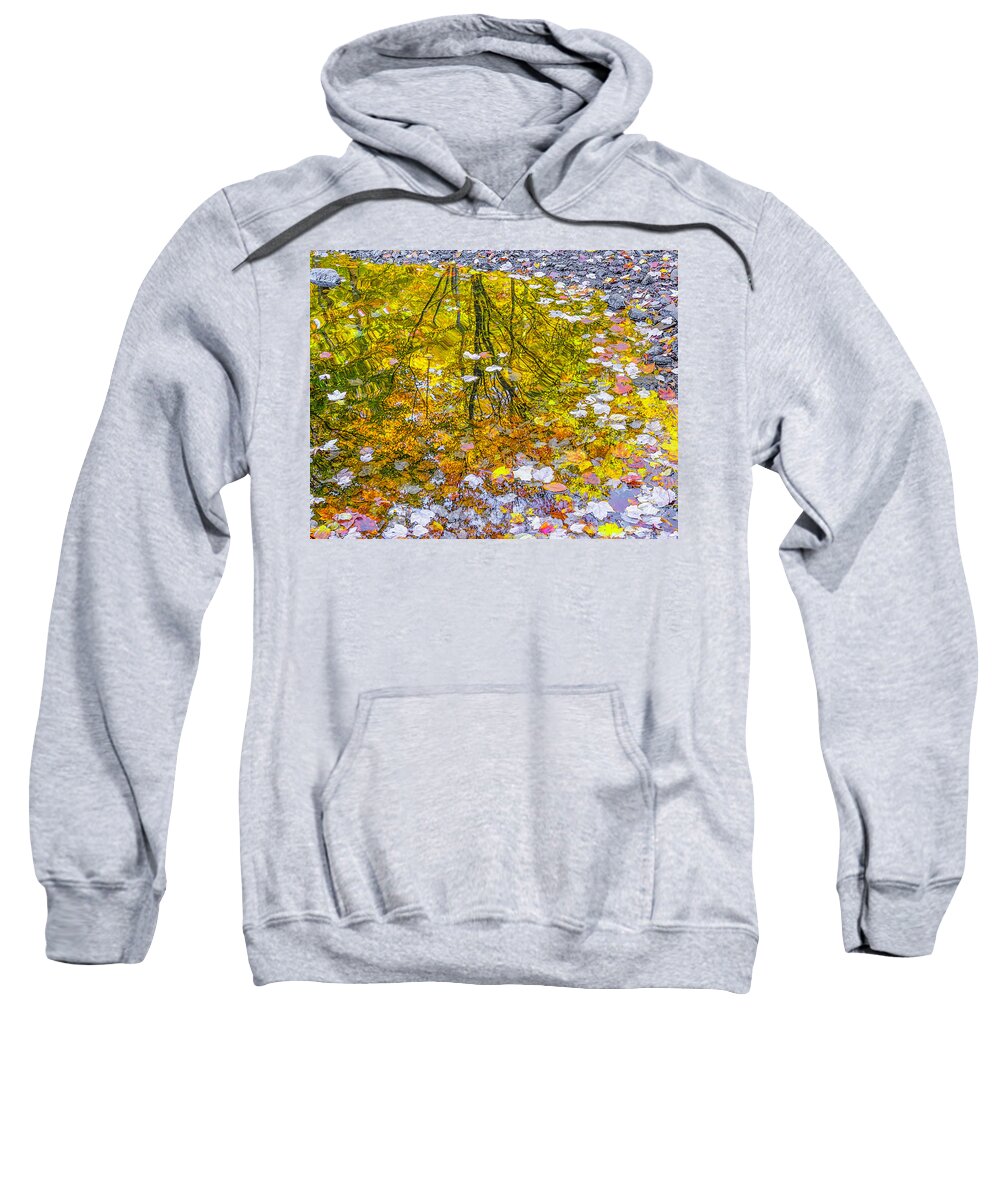 Reflections Sweatshirt featuring the photograph Tree and Leaves by Peggy Blackwell