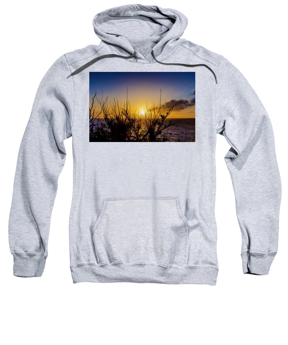 Ocean Sweatshirt featuring the photograph Tree Sunset by Daniel Murphy