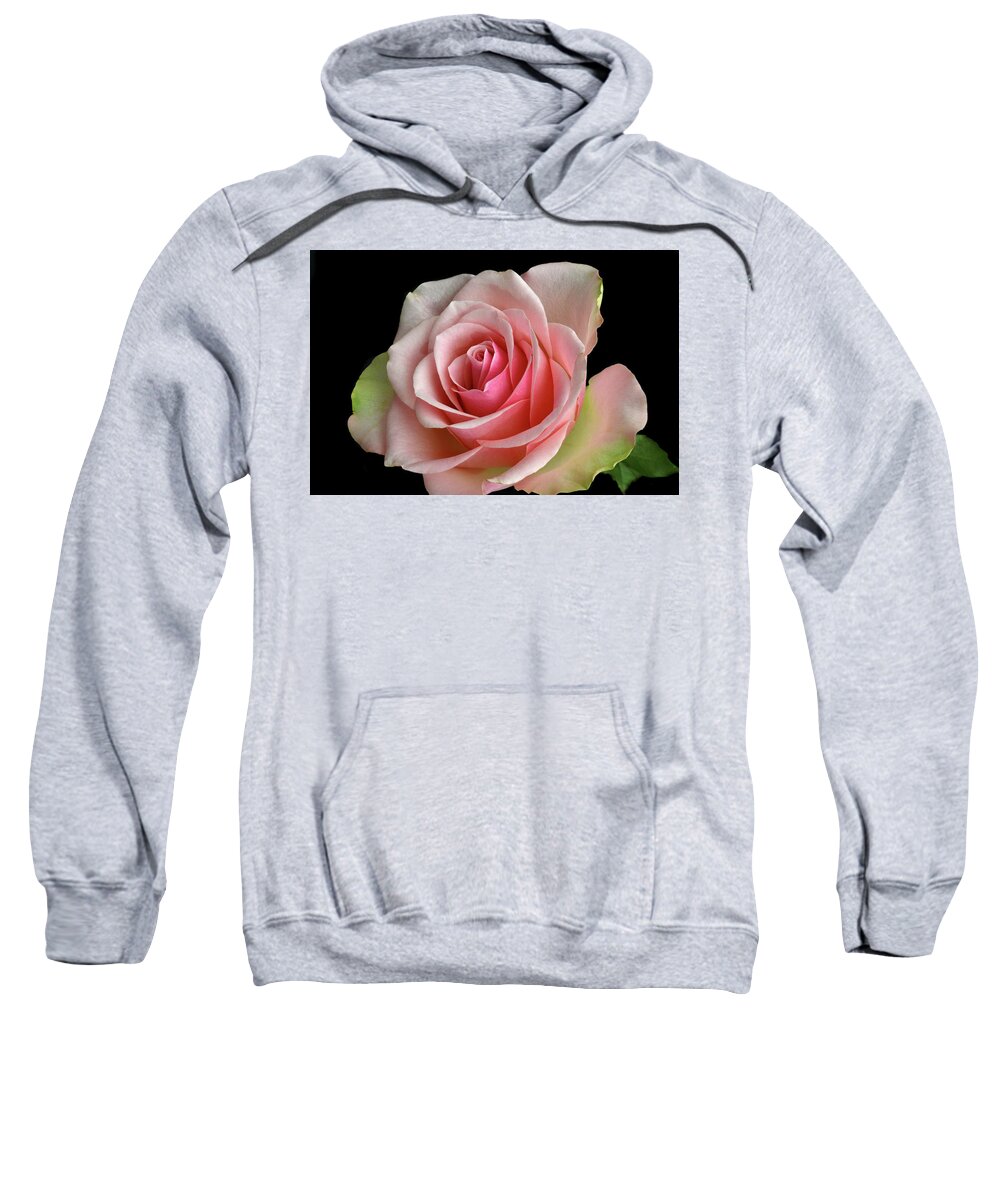 Rose Sweatshirt featuring the photograph True Colours. by Terence Davis