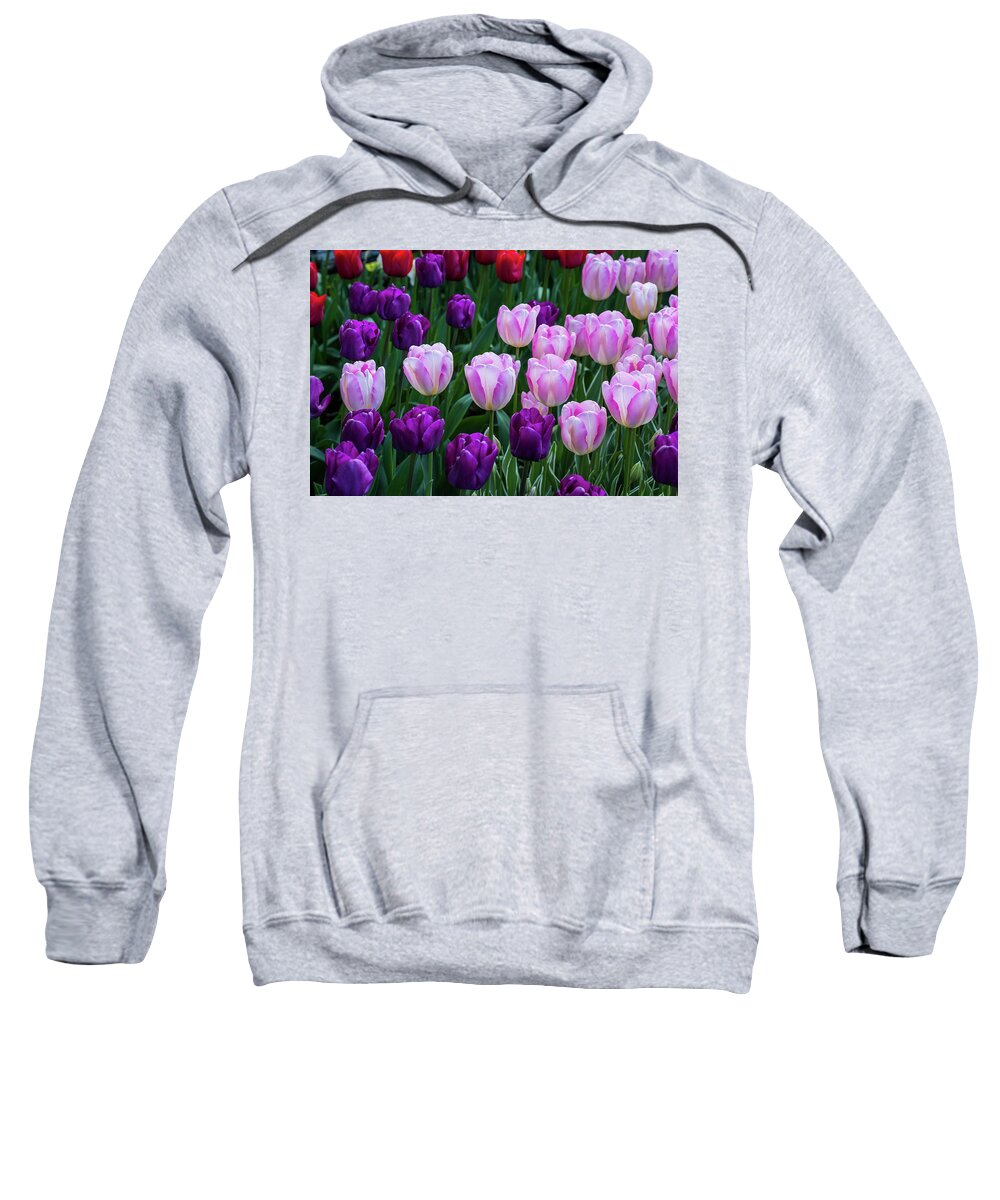 Blooms Sweatshirt featuring the photograph Tulip Blush by Robert Potts