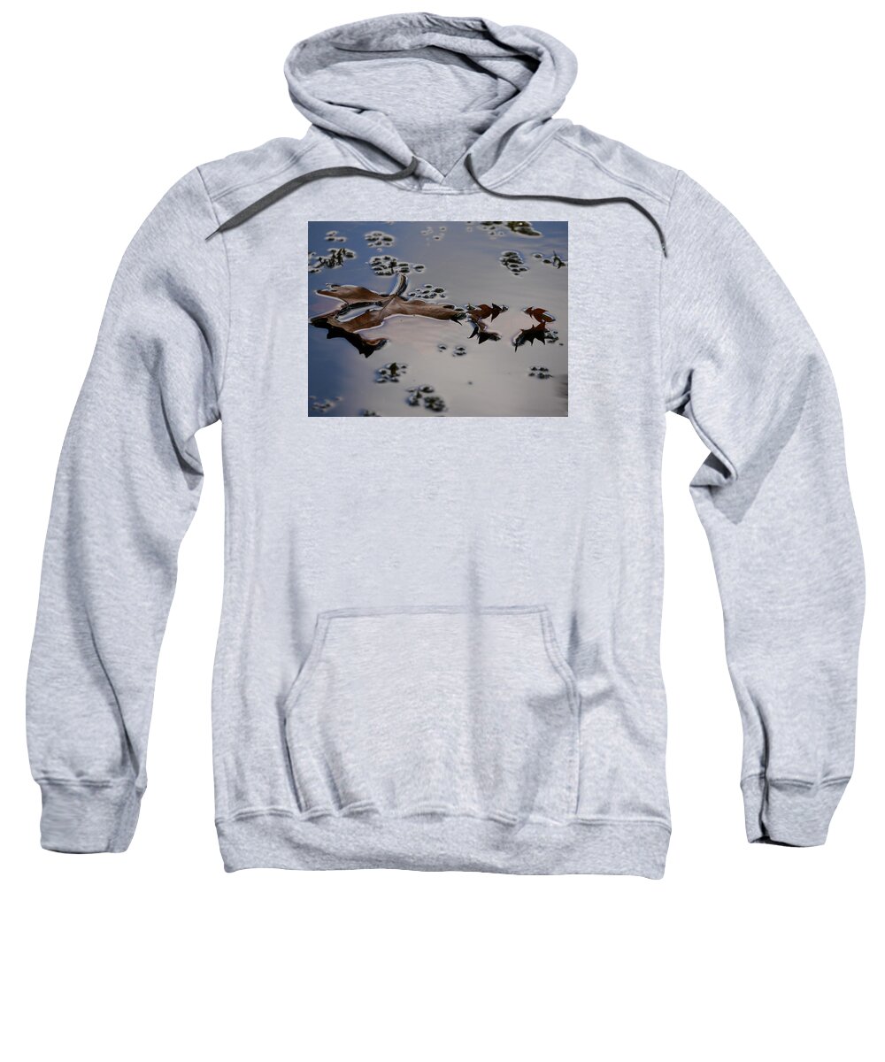 Tulip Tree Leaves Sweatshirt featuring the photograph Tulip Tree Leaves by Jane Ford