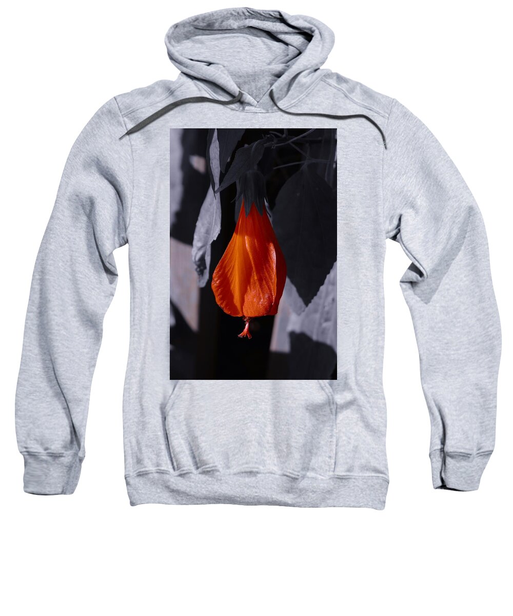 Turk's Cap With Selected Color Sweatshirt featuring the photograph Turk's Cap with Selected Color by Warren Thompson