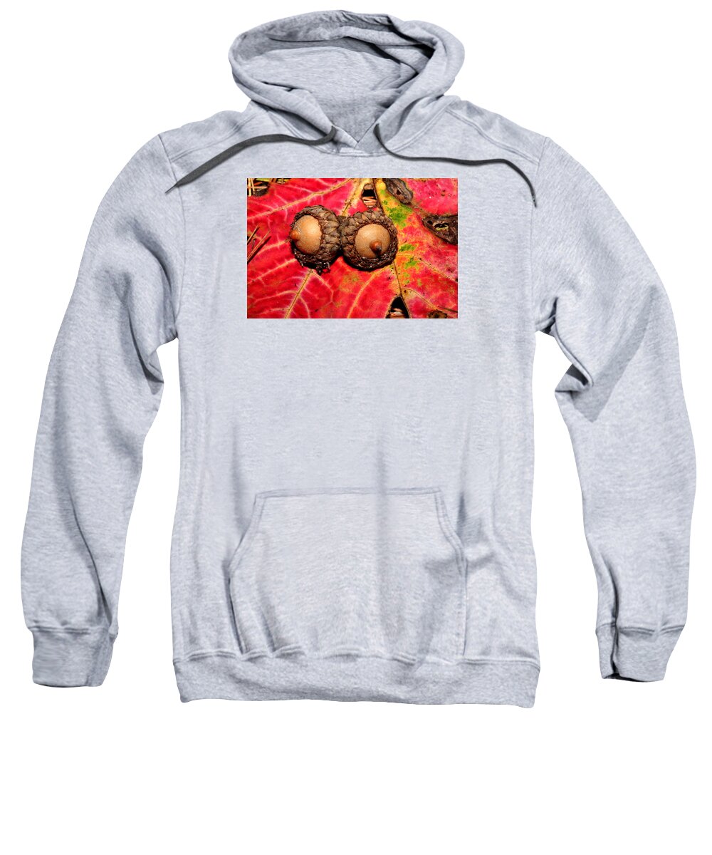 Nature Sweatshirt featuring the photograph Two Acorns on Tatterd Maple Leaf 2 by Robert Morin