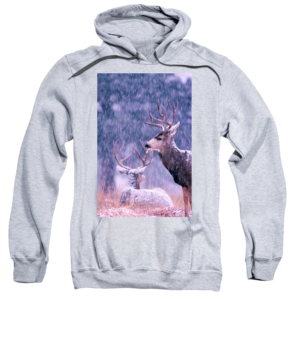 Mark Miller Photos Sweatshirt featuring the photograph Two Mule Deer Bucks in Snow by Mark Miller