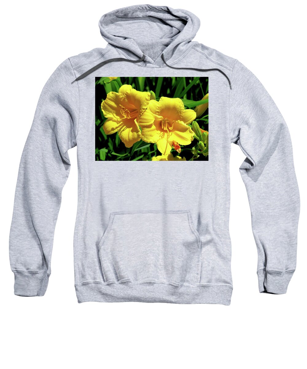 Lily Sweatshirt featuring the photograph Two of a Kind by Linda Stern