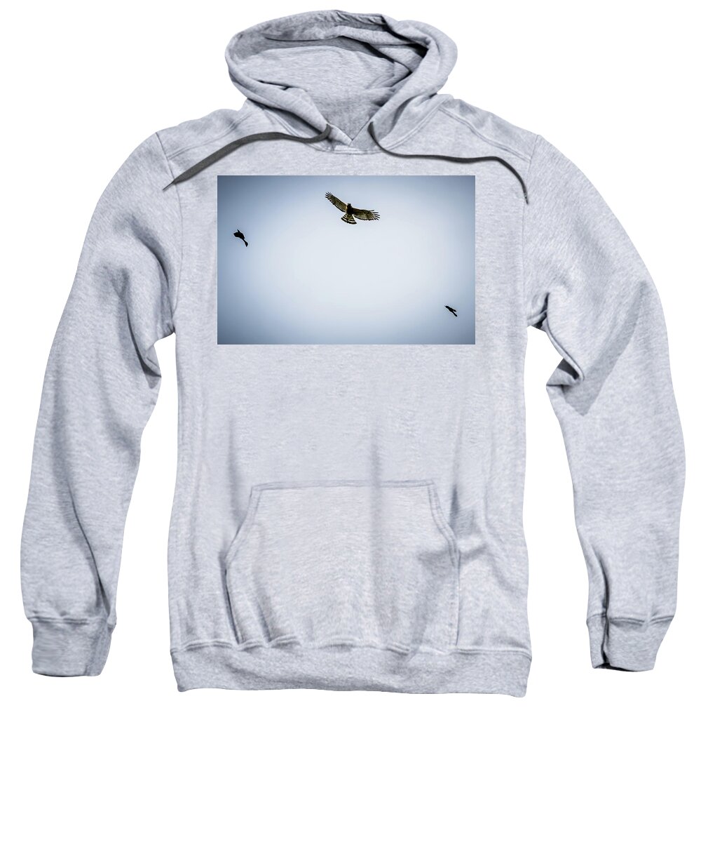 Hawk Sweatshirt featuring the digital art Two Police birds attack predator Hawk by Ed Stines