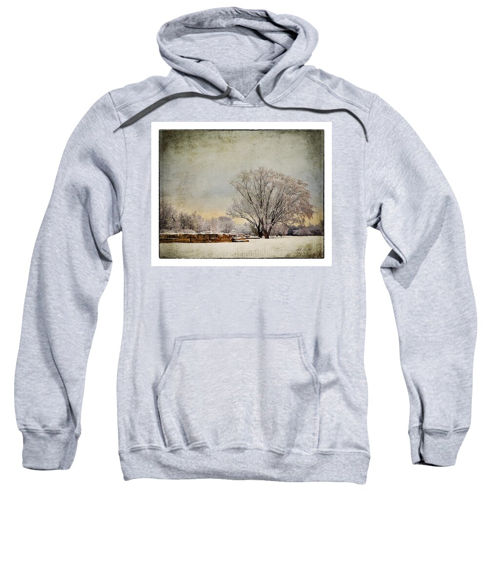 Tree Sweatshirt featuring the photograph Unity Park 1 by Al Mueller