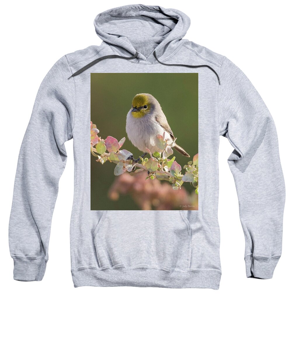 Bird Sweatshirt featuring the photograph Verdin by Jody Partin