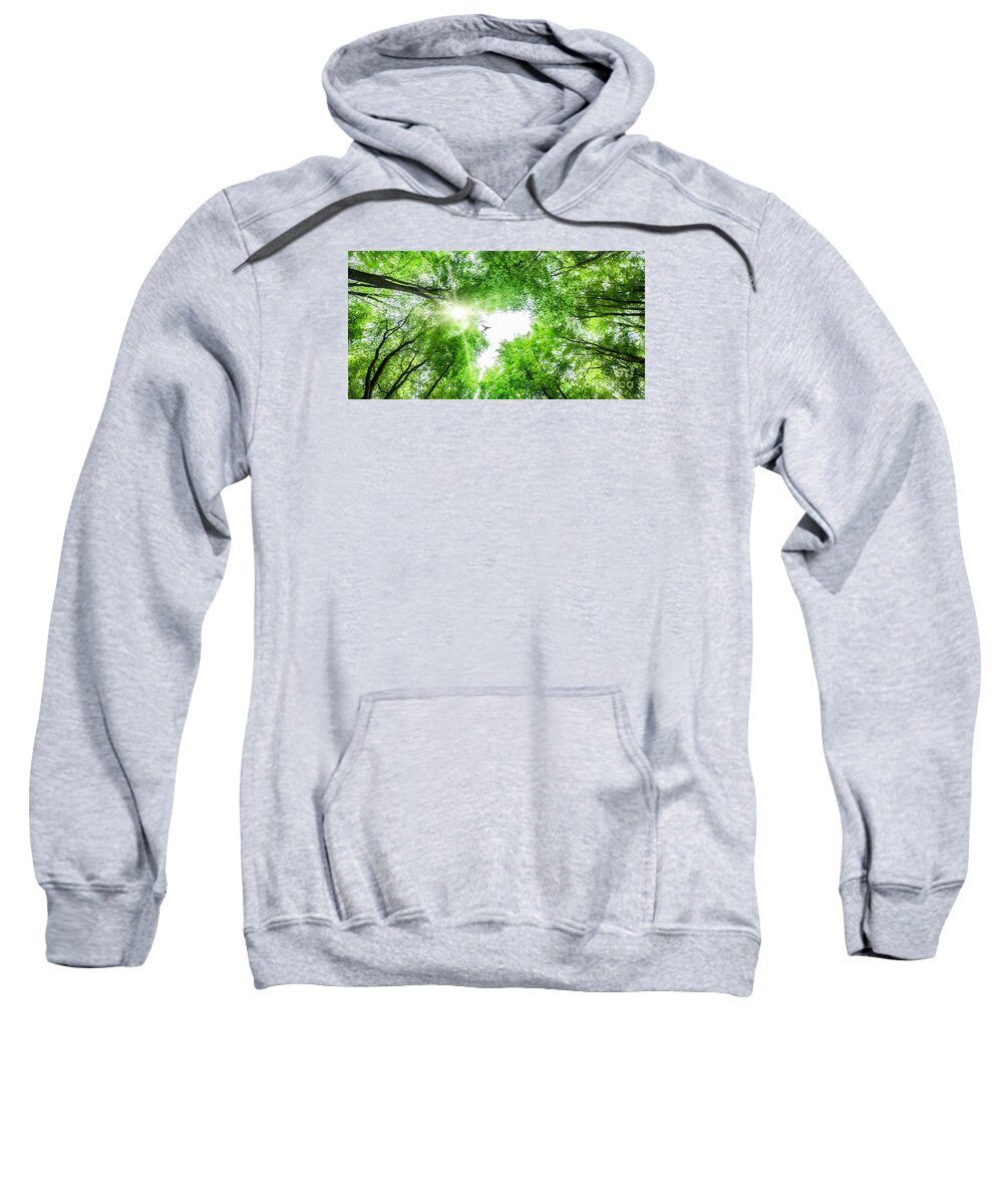 Tree Sweatshirt featuring the photograph View through tree canopy with bird soaring by Simon Bratt