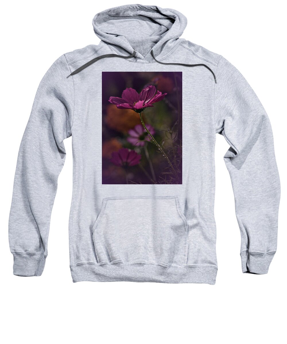 Cosmos Sweatshirt featuring the photograph Vintage Cosmos by Richard Cummings