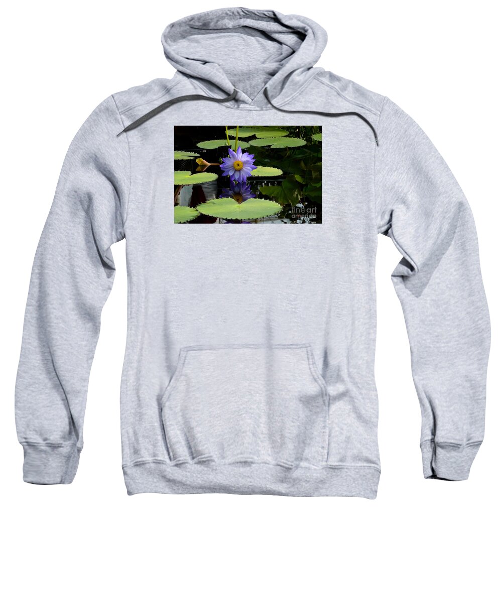 Flower Sweatshirt featuring the photograph Violet and yellow water lily flower in water with floating leaves by Imran Ahmed