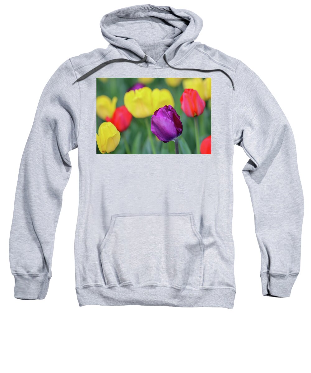 Tulip Sweatshirt featuring the photograph Vision of Spring by Mary Anne Delgado