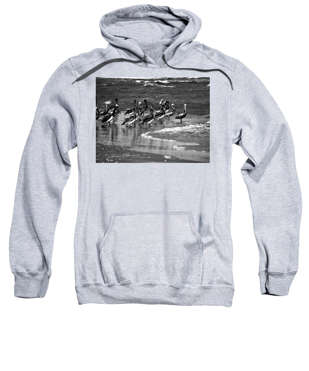 Pelican Sweatshirt featuring the photograph Waiting for Lunch by Jerry Connally