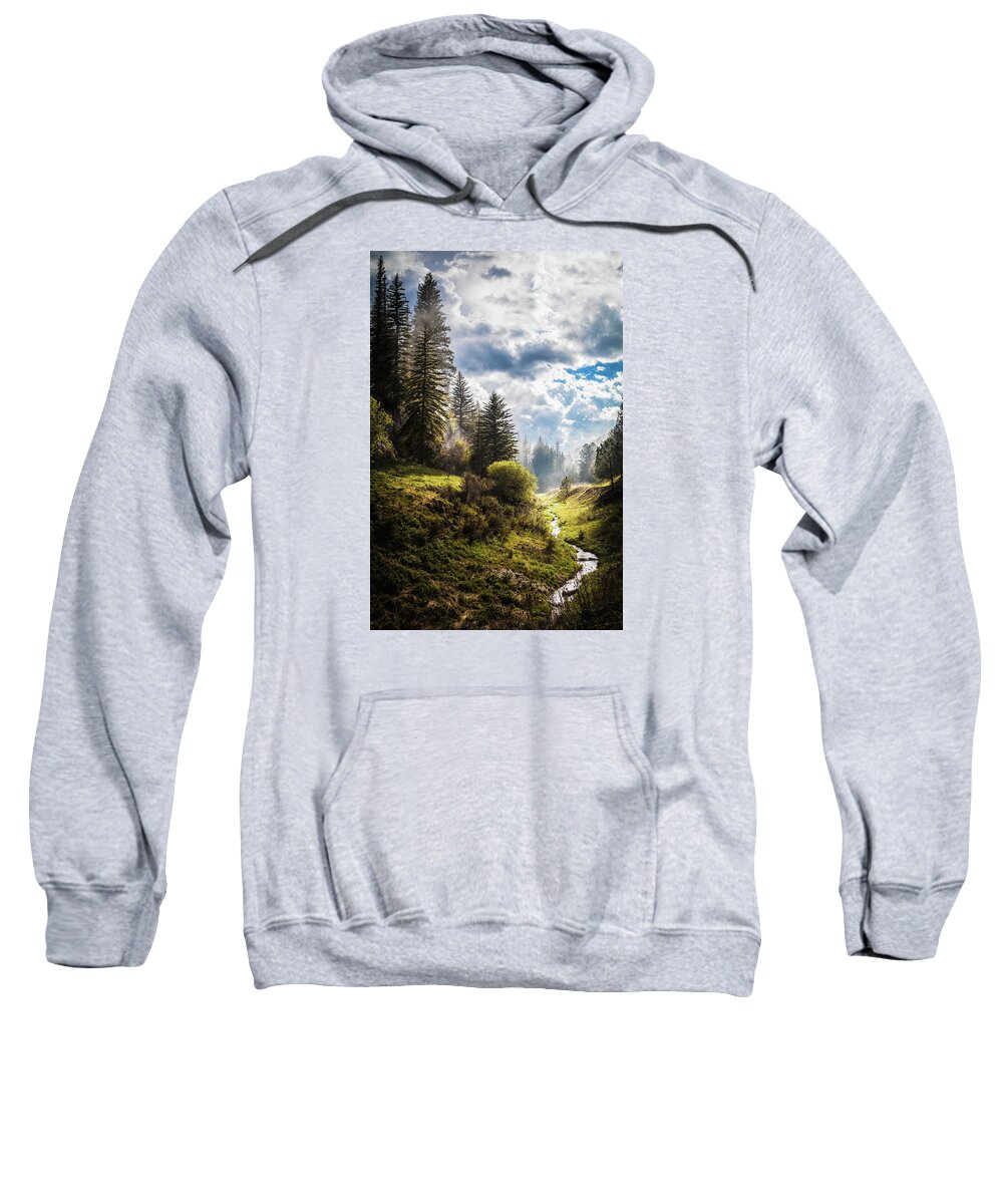 Landscape Sweatshirt featuring the photograph Waiting Out the Rain by Laura Roberts
