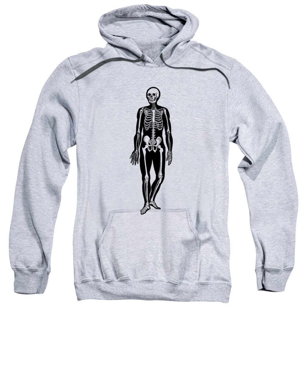 Skeleton Sweatshirt featuring the drawing Walking Skeleton - Vintage Anatomy Print by Vintage Anatomy Prints