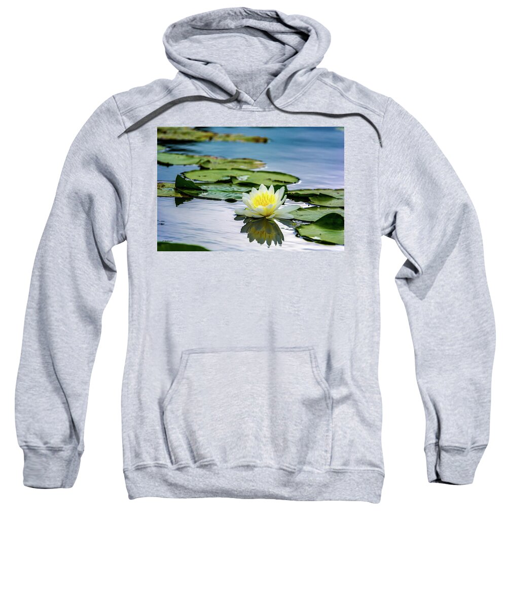 Flower Sweatshirt featuring the photograph Water Lily white Yellow 3 by Pamela Williams