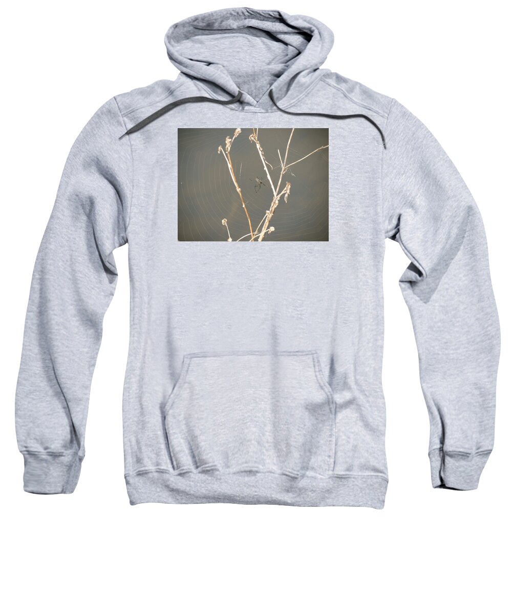 Spider Web Sweatshirt featuring the photograph Web of Wonder by Azthet Photography