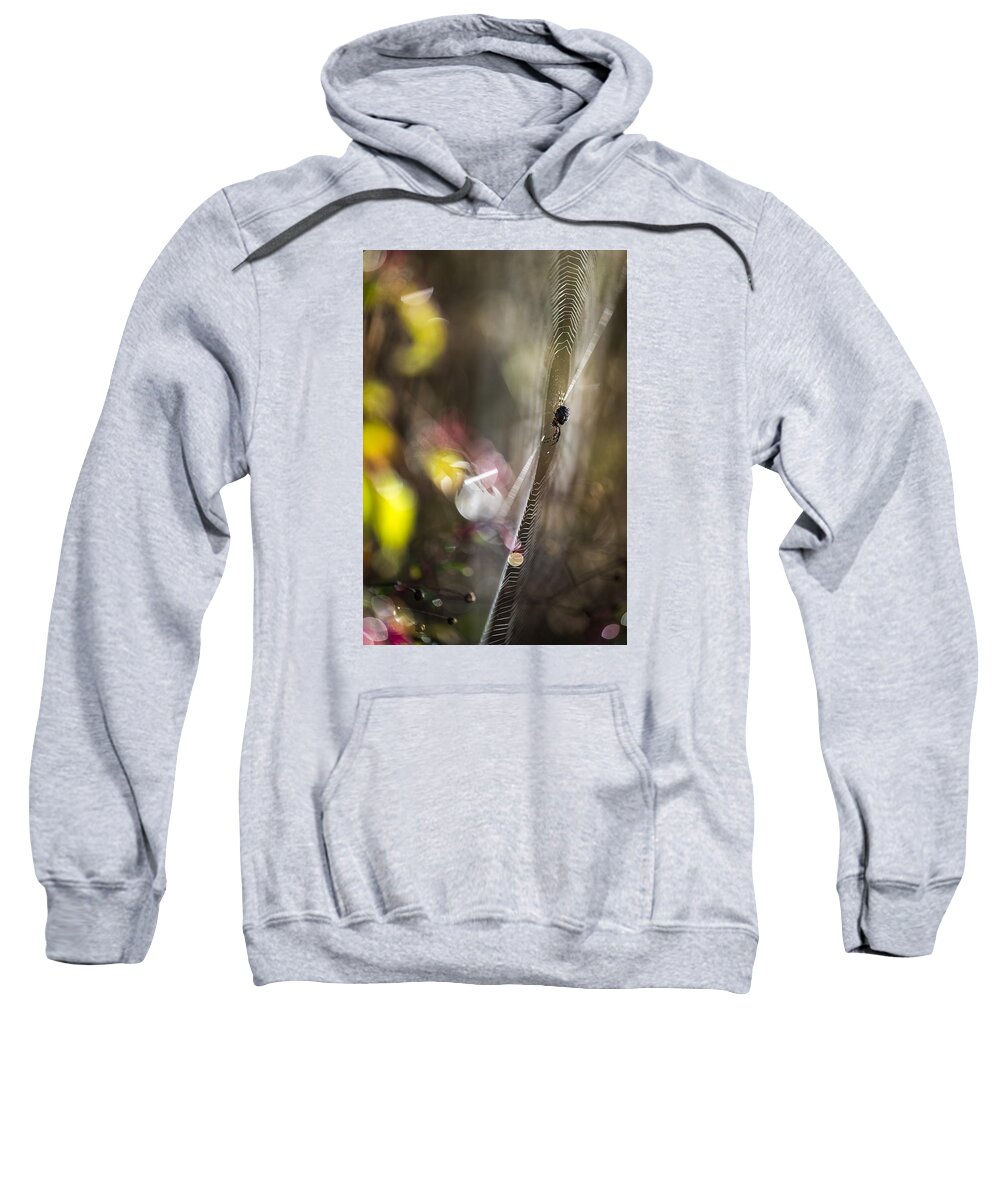 Astoria Sweatshirt featuring the photograph What a Spider May See by Robert Potts