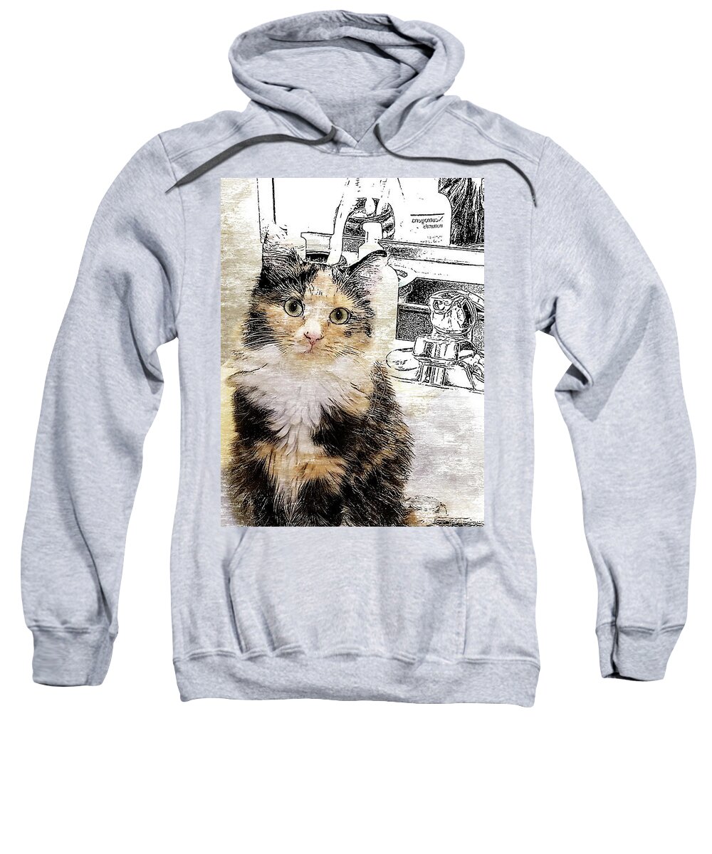 Cat Sweatshirt featuring the digital art What are you doin? by Deb Nakano