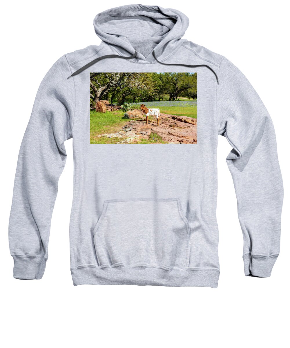 African Breed Sweatshirt featuring the photograph Where's My Mother? by Raul Rodriguez