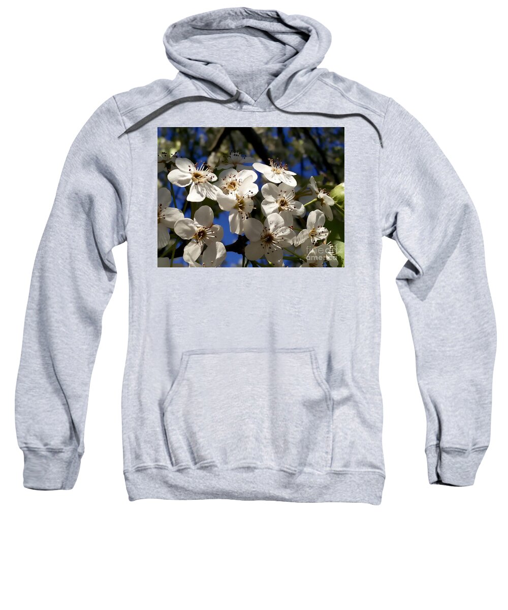 Flowering Trees Sweatshirt featuring the photograph Whispers Encore by Mioara Andritoiu