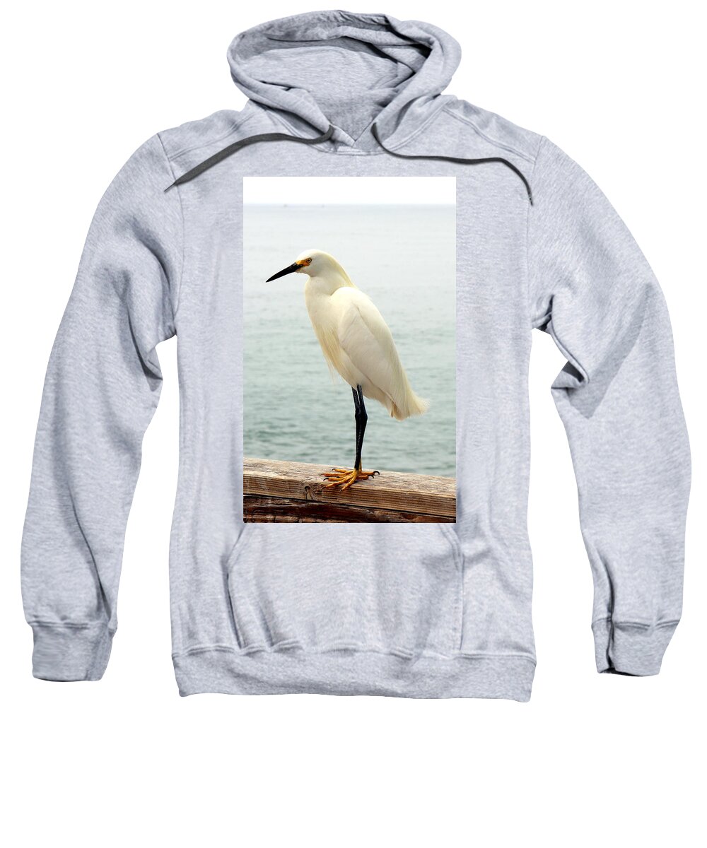 White Sweatshirt featuring the photograph White Egret Photograph by Kimberly Walker
