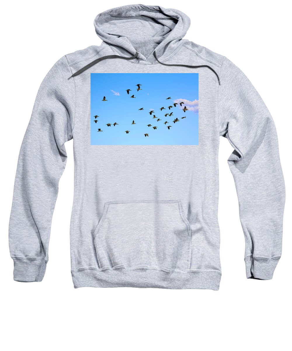 05-location Sweatshirt featuring the photograph White-faced Whistling Duck by Myer Bornstein