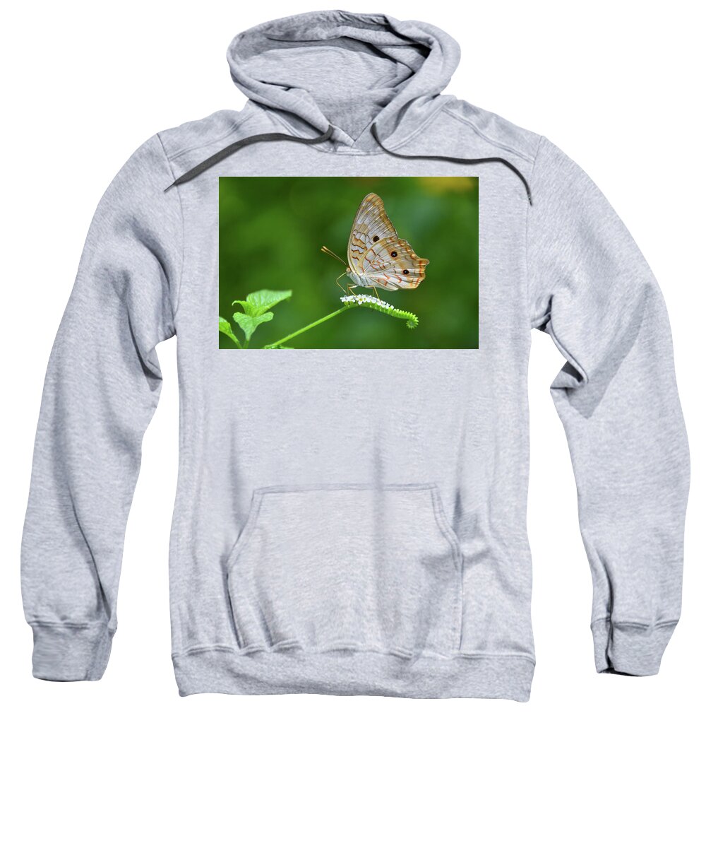 Butterfly Sweatshirt featuring the photograph White Peacock Butterfly on Small White Flowers by Artful Imagery