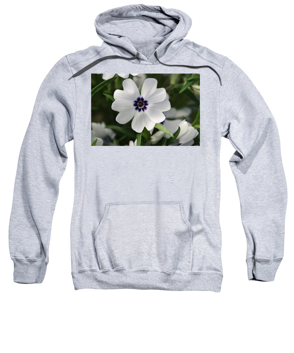 Flower Sweatshirt featuring the photograph White Phlox by Adrian Wale