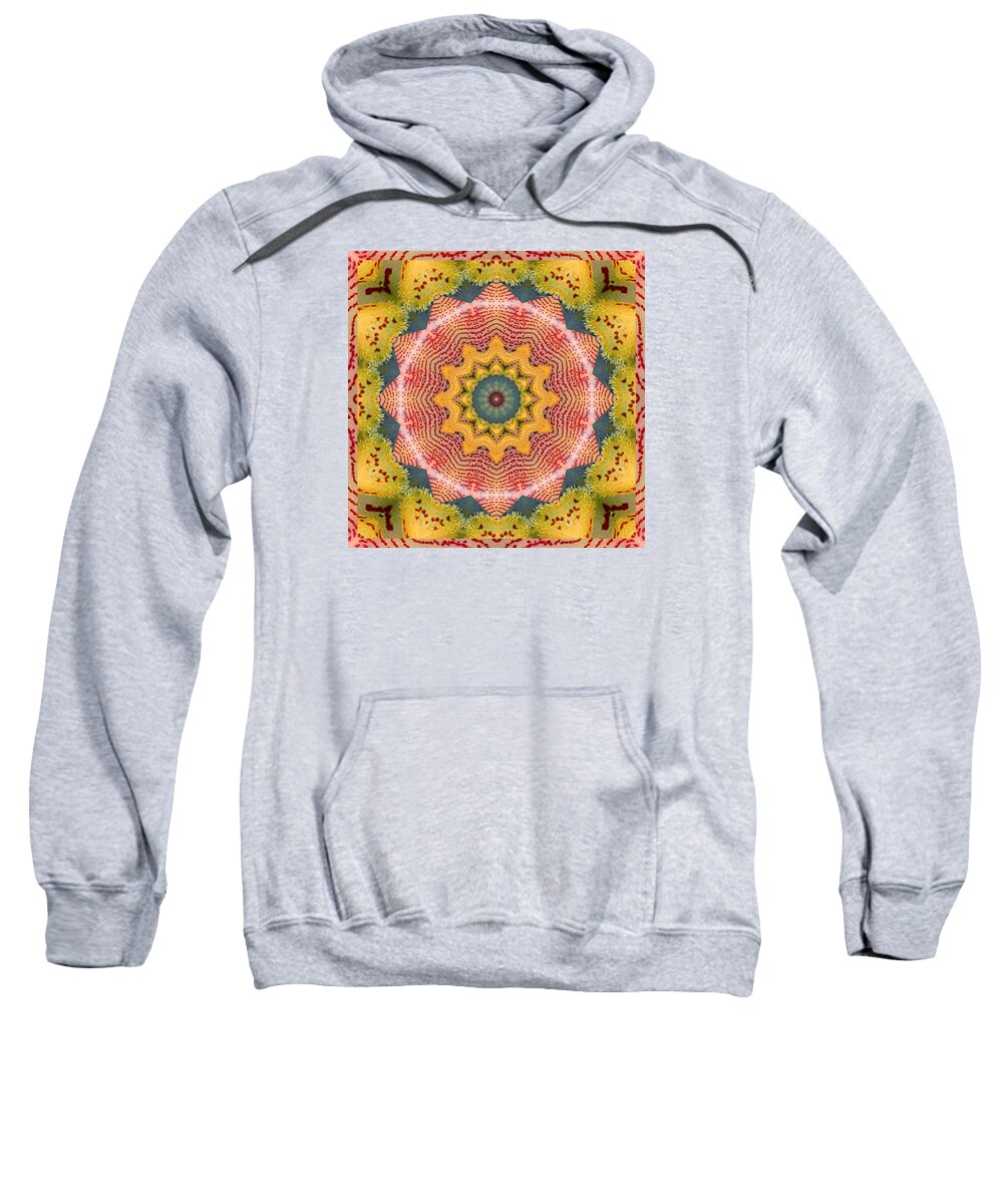 Mandalas Sweatshirt featuring the photograph Wholeness by Bell And Todd