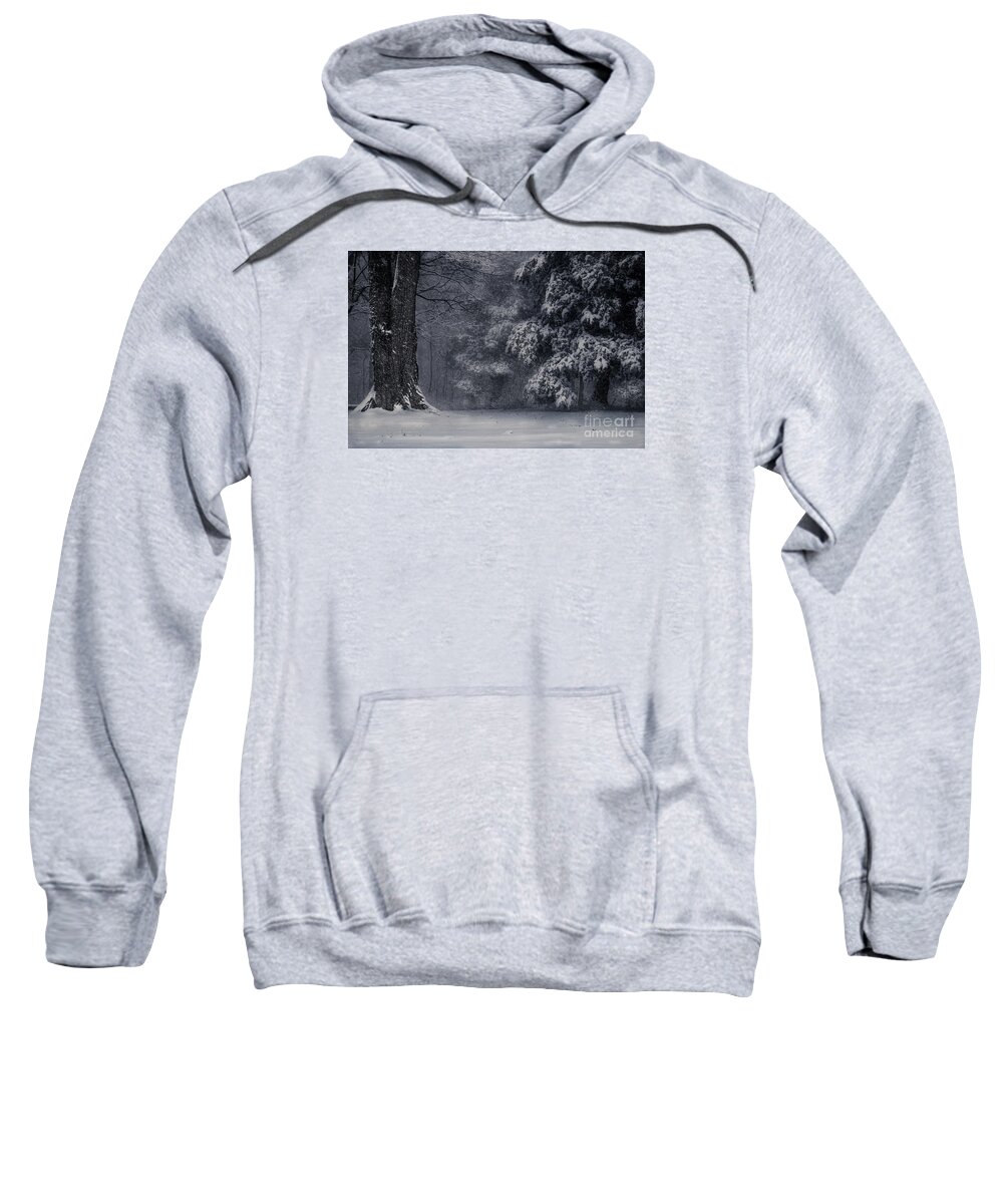 Whose Woods Are These I Think I Know Sweatshirt featuring the photograph Whose Woods These Are I Think I Know by William Fields
