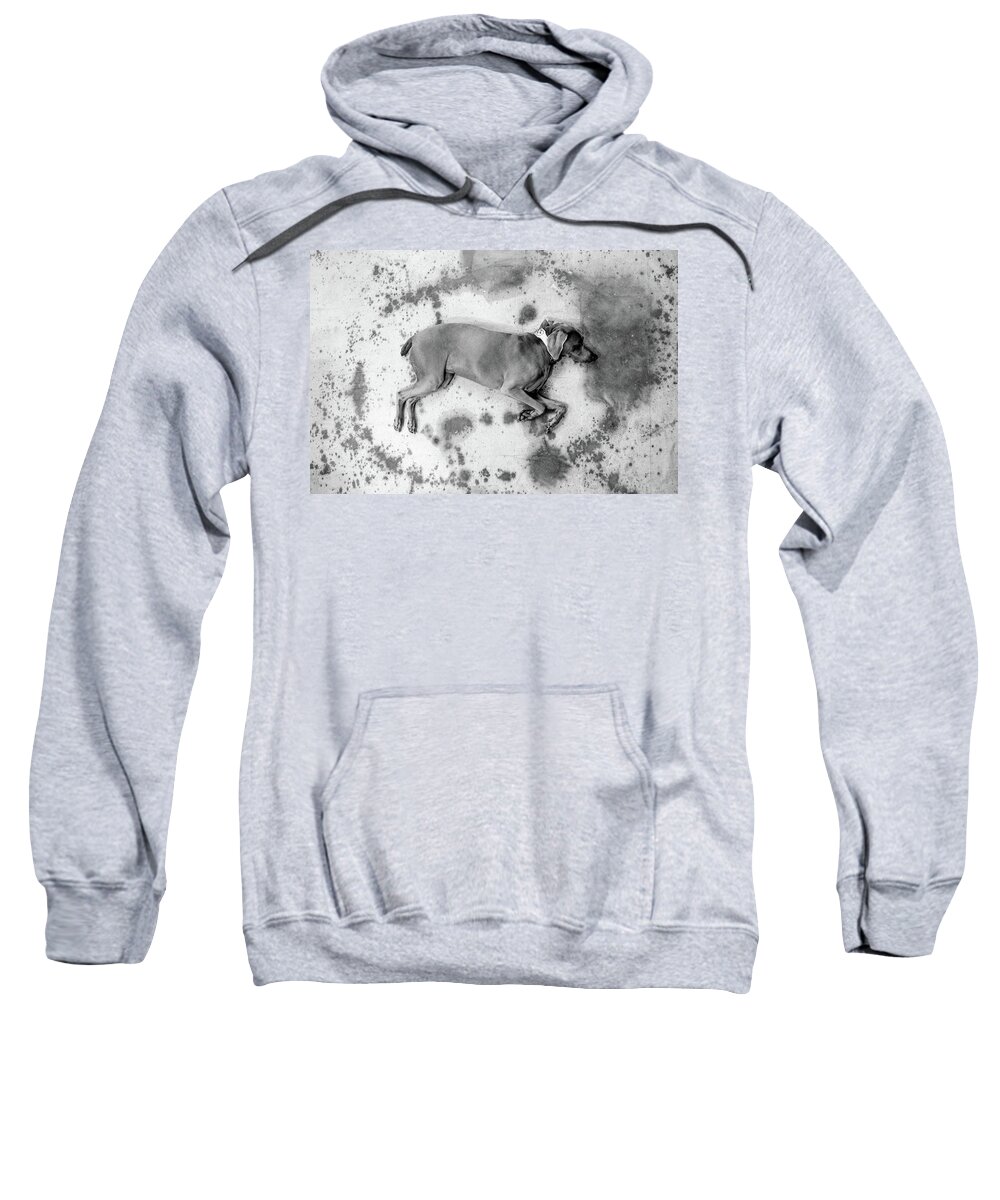 Weimaraner Sweatshirt featuring the photograph Why-Me by Bradley Dever