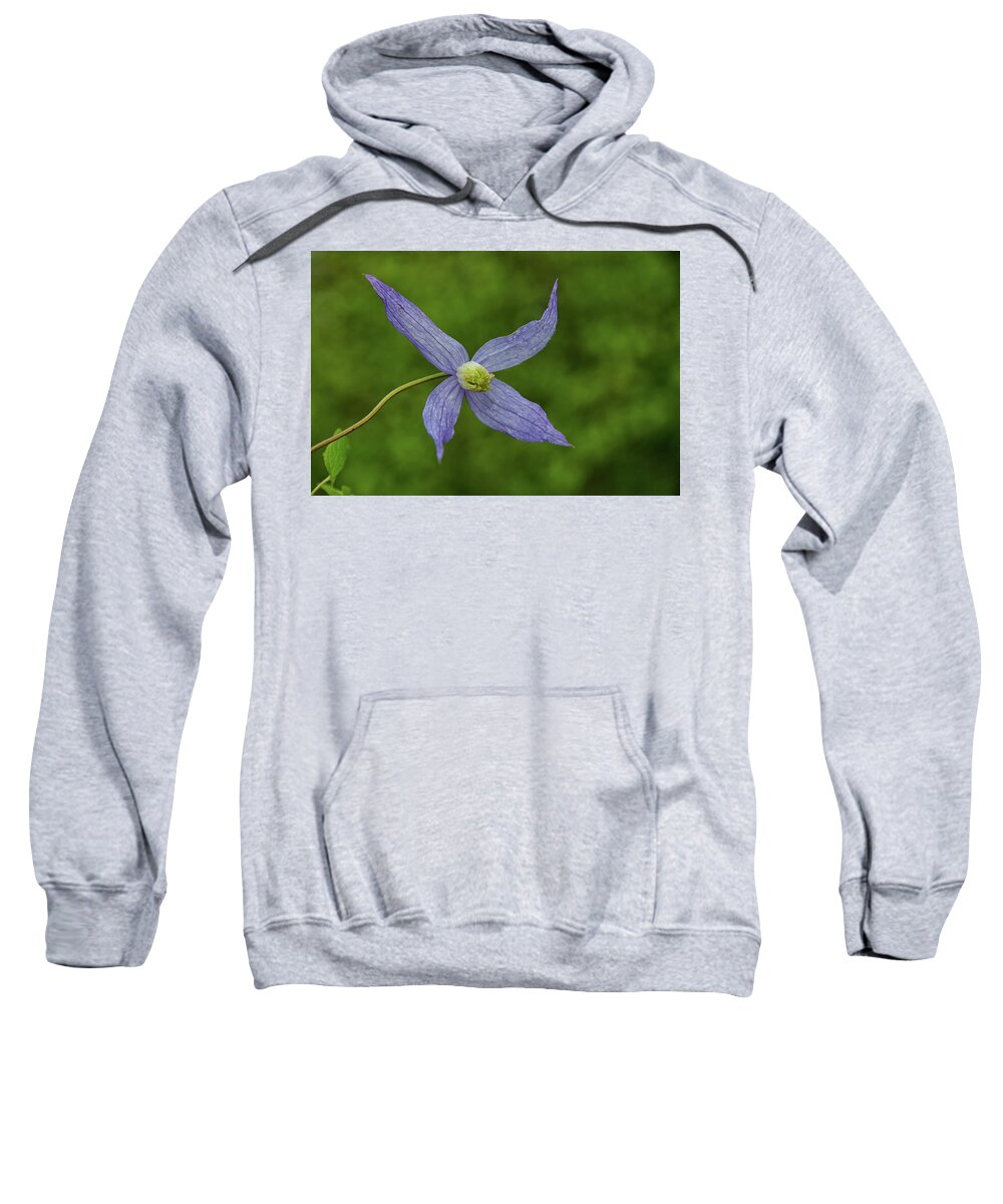 Bloom Sweatshirt featuring the photograph Wild blue flower by Debra Baldwin