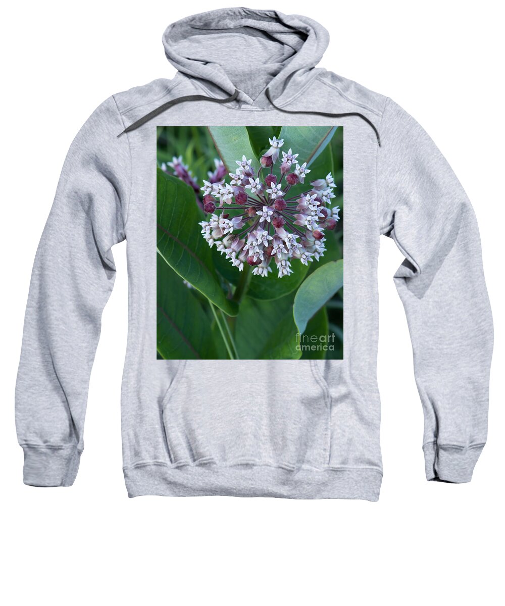 Wild Sweatshirt featuring the photograph Wild Flower Star Burst by Marc Champagne