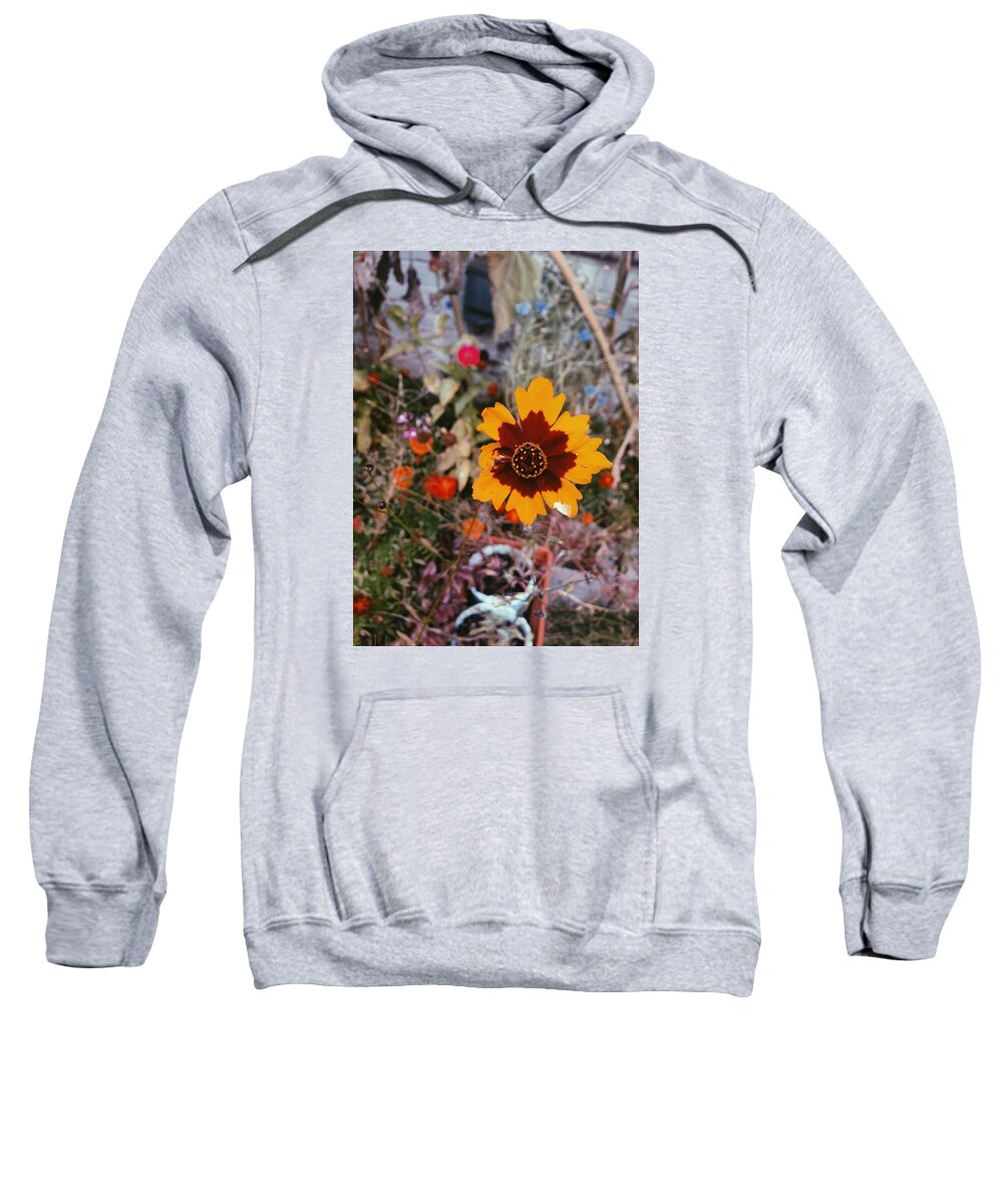 Wildflowers Sweatshirt featuring the photograph Wildflowers by Annie Walczyk