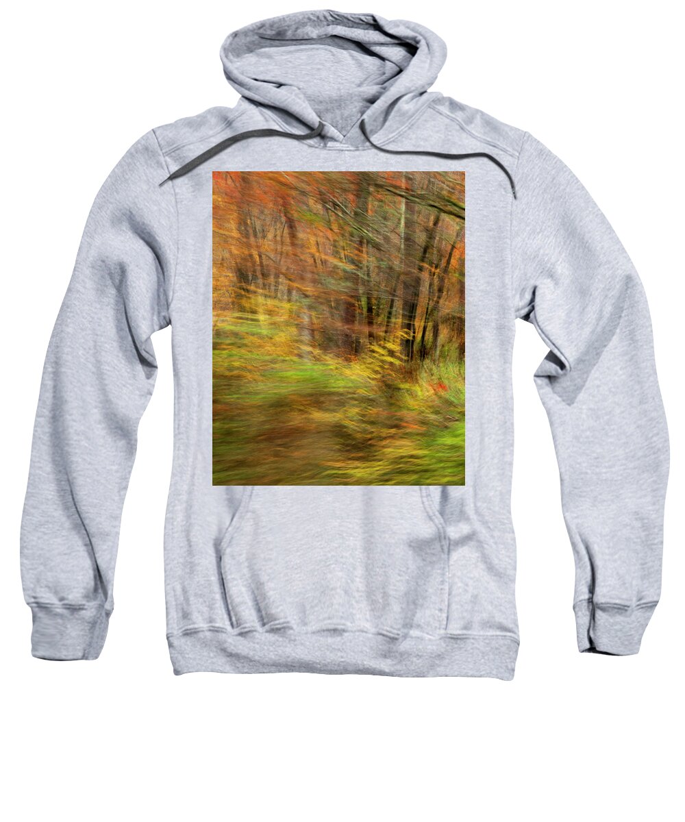 Fall Sweatshirt featuring the photograph Will O Wisp Woods 9266 by Ginger Stein