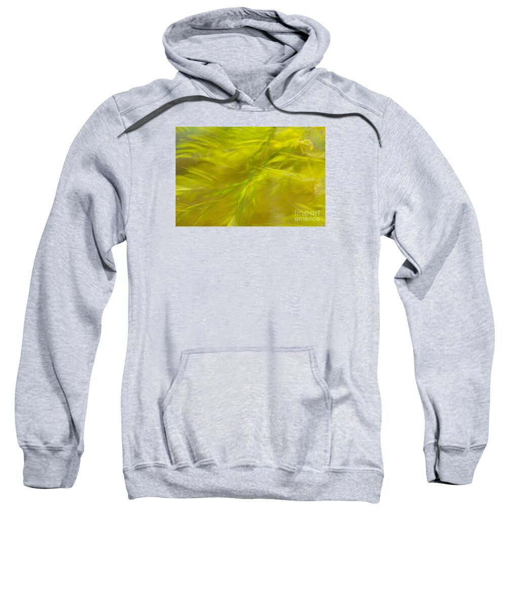 Charles Daley Park Sweatshirt featuring the photograph Willow Dreaming by Marilyn Cornwell