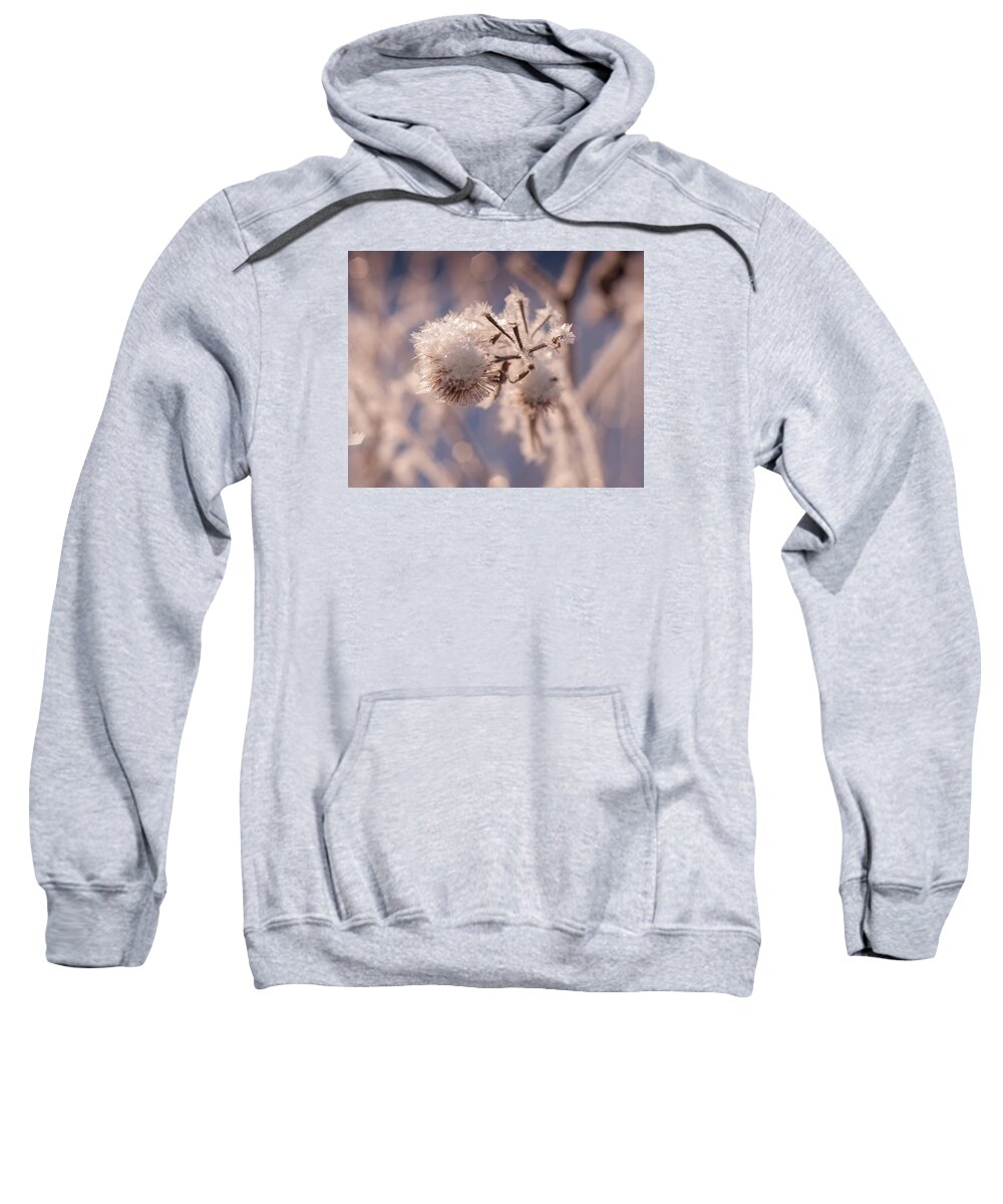 Frost Sweatshirt featuring the photograph Winter Frost by Miguel Winterpacht